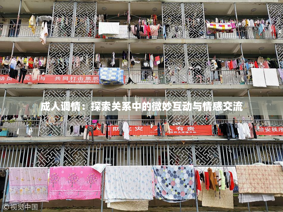成人调情：探索关系中的微妙互动与情感交流