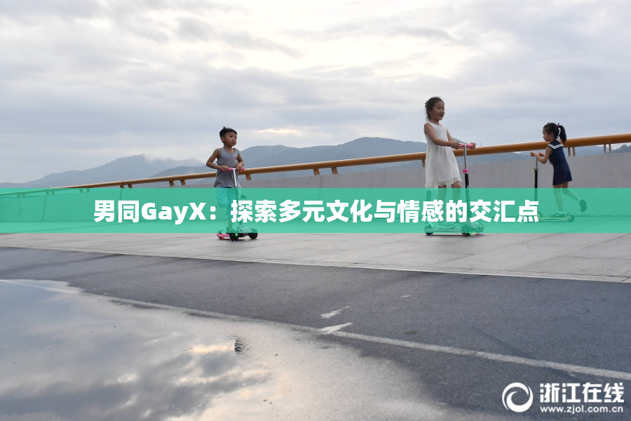 男同GayX：探索多元文化与情感的交汇点