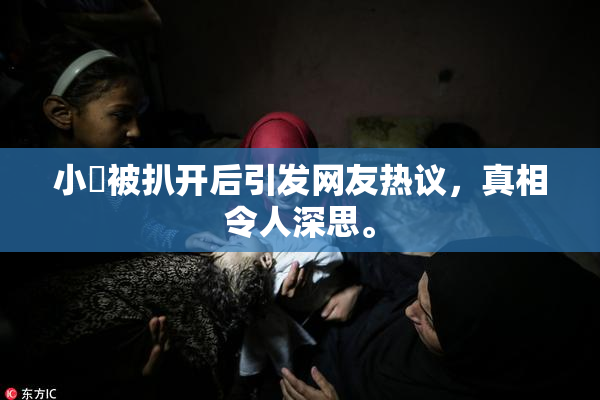 小泬被扒开后引发网友热议，真相令人深思。