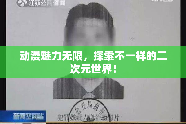 动漫魅力无限，探索不一样的二次元世界！