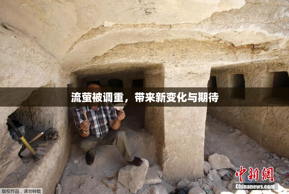 流萤被调重，带来新变化与期待