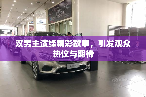 双男主演绎精彩故事，引发观众热议与期待