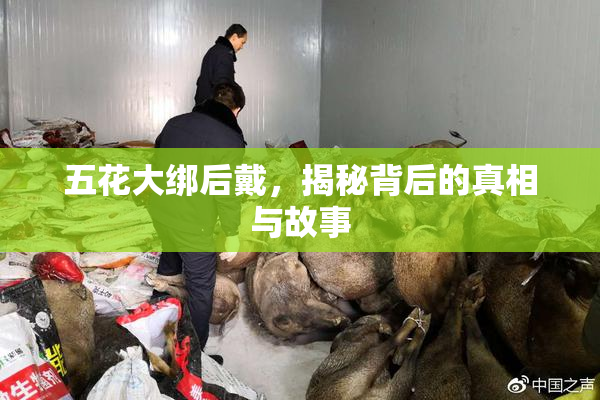 五花大绑后戴，揭秘背后的真相与故事