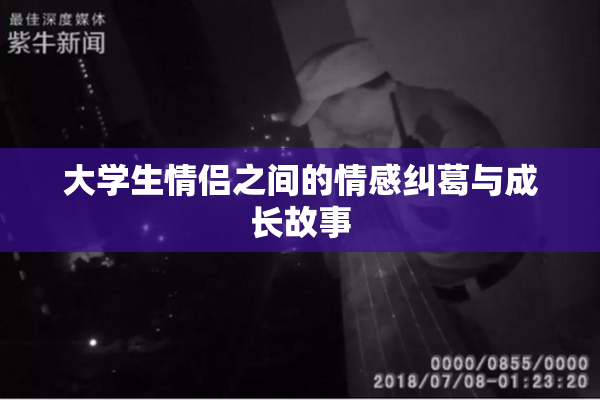 大学生情侣之间的情感纠葛与成长故事