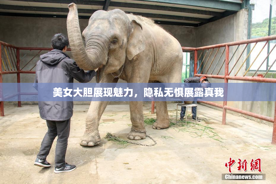 美女大胆展现魅力，隐私无惧展露真我