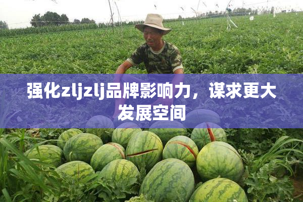 强化zljzlj品牌影响力，谋求更大发展空间