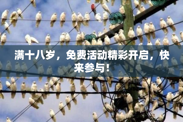 满十八岁，免费活动精彩开启，快来参与！