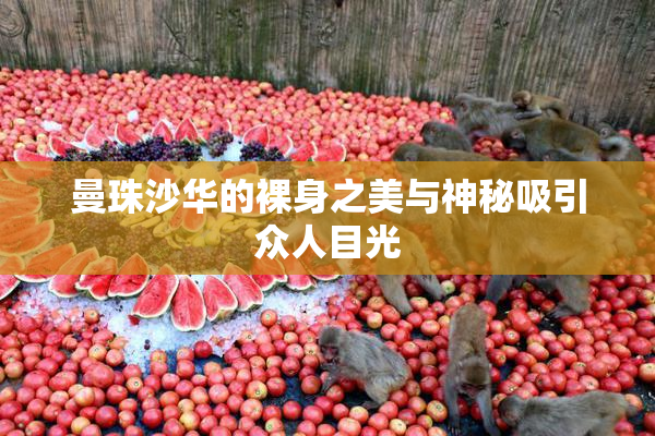 曼珠沙华的裸身之美与神秘吸引众人目光