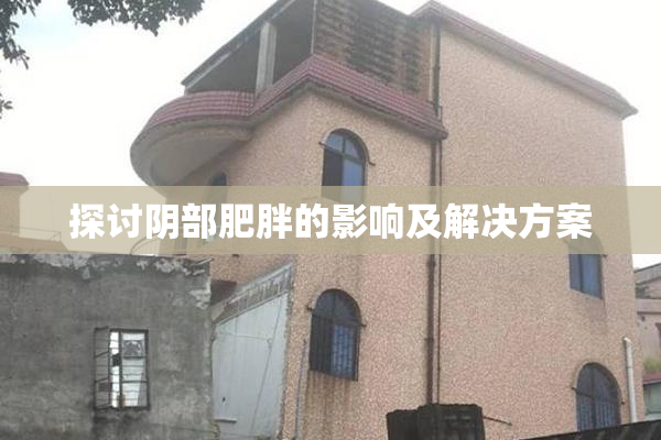 探讨阴部肥胖的影响及解决方案