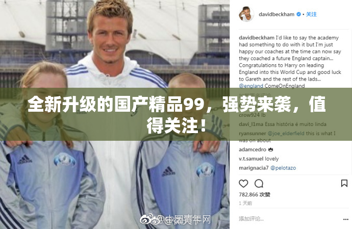 全新升级的国产精品99，强势来袭，值得关注！