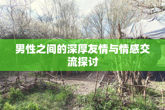 男性之间的深厚友情与情感交流探讨