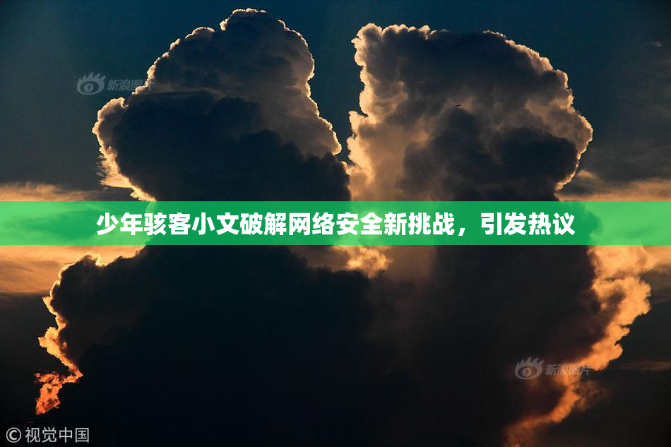 少年骇客小文破解网络安全新挑战，引发热议