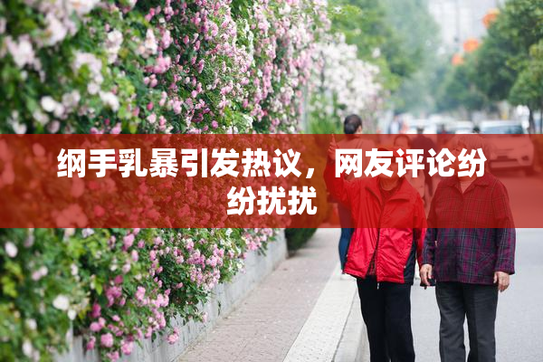 纲手乳暴引发热议，网友评论纷纷扰扰