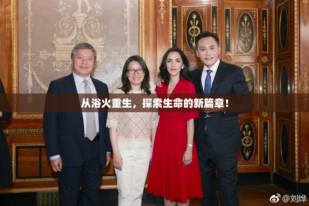 从浴火重生，探索生命的新篇章！