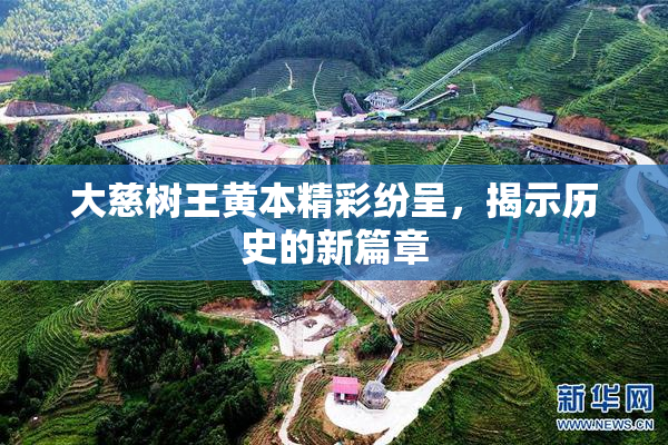 大慈树王黄本精彩纷呈，揭示历史的新篇章