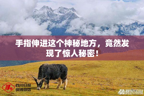 手指伸进这个神秘地方，竟然发现了惊人秘密！