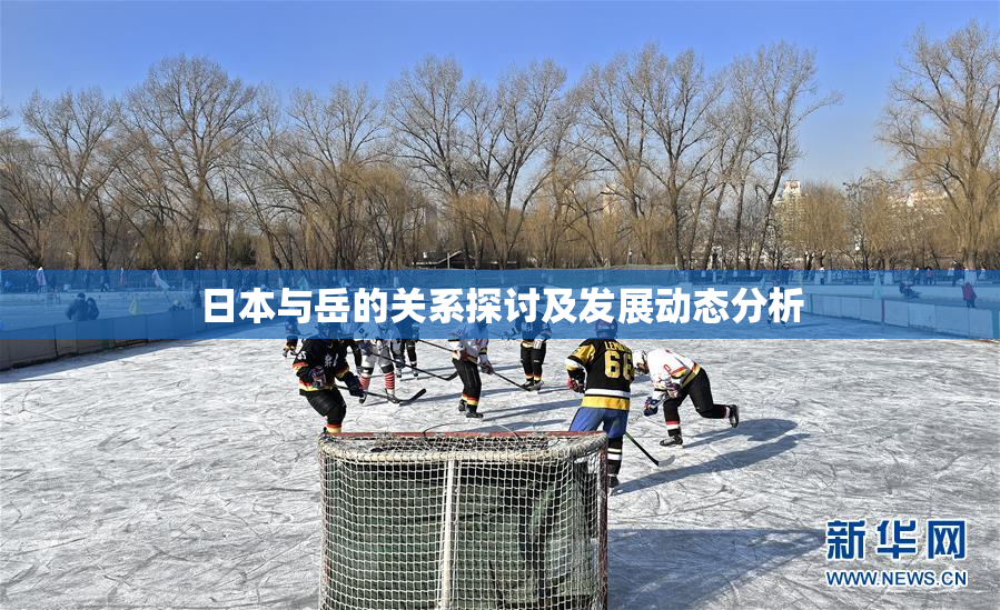 日本与岳的关系探讨及发展动态分析
