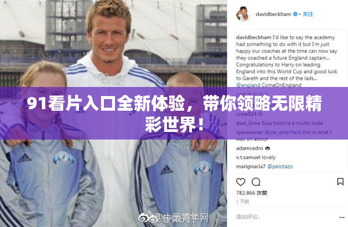 91看片入口全新体验，带你领略无限精彩世界！