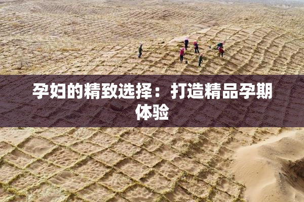 孕妇的精致选择：打造精品孕期体验