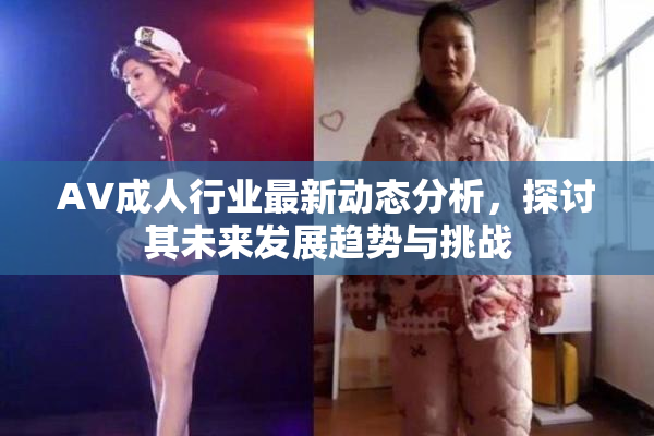 AV成人行业最新动态分析，探讨其未来发展趋势与挑战