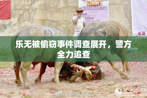 乐无被偷窃事件调查展开，警方全力追查