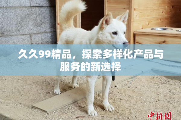 久久99精品，探索多样化产品与服务的新选择