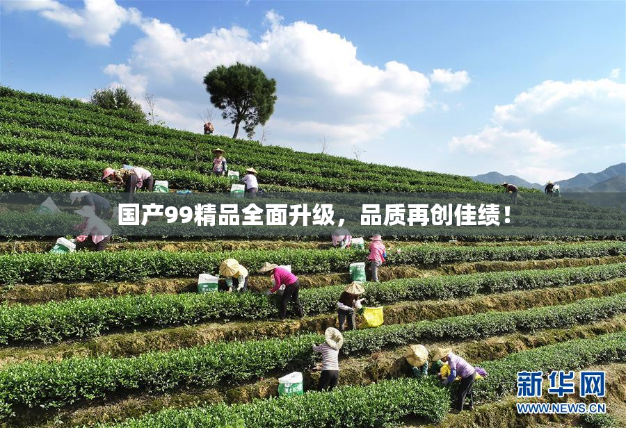国产99精品全面升级，品质再创佳绩！