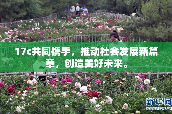 17c共同携手，推动社会发展新篇章，创造美好未来。