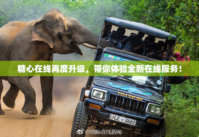 糖心在线再度升级，带你体验全新在线服务！