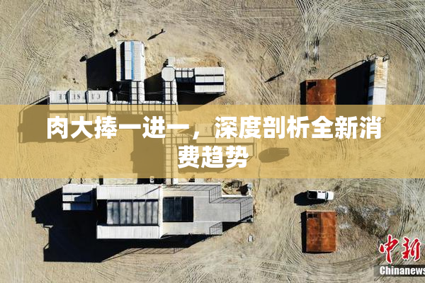 肉大捧一进一，深度剖析全新消费趋势