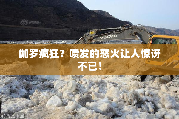 伽罗疯狂？喷发的怒火让人惊讶不已！