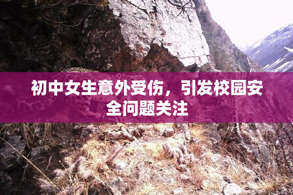 初中女生意外受伤，引发校园安全问题关注