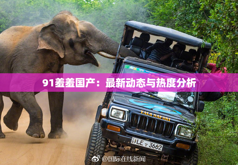 91羞羞国产：最新动态与热度分析