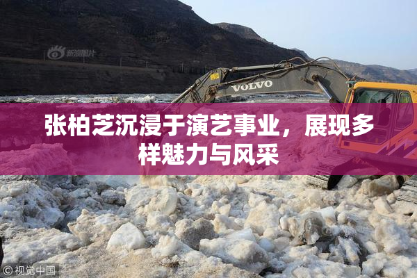 张柏芝沉浸于演艺事业，展现多样魅力与风采