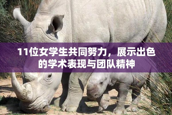 11位女学生共同努力，展示出色的学术表现与团队精神