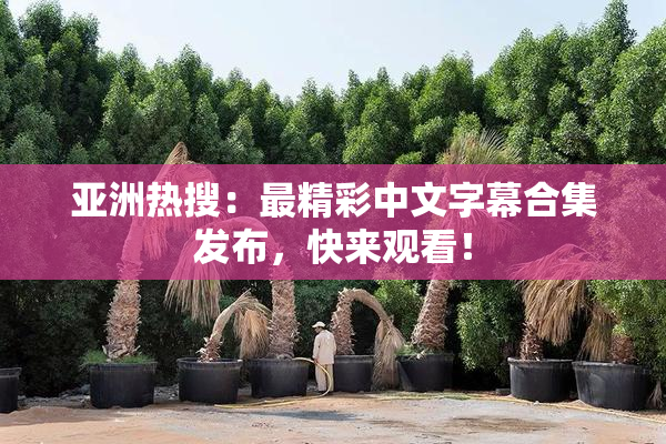 亚洲热搜：最精彩中文字幕合集发布，快来观看！