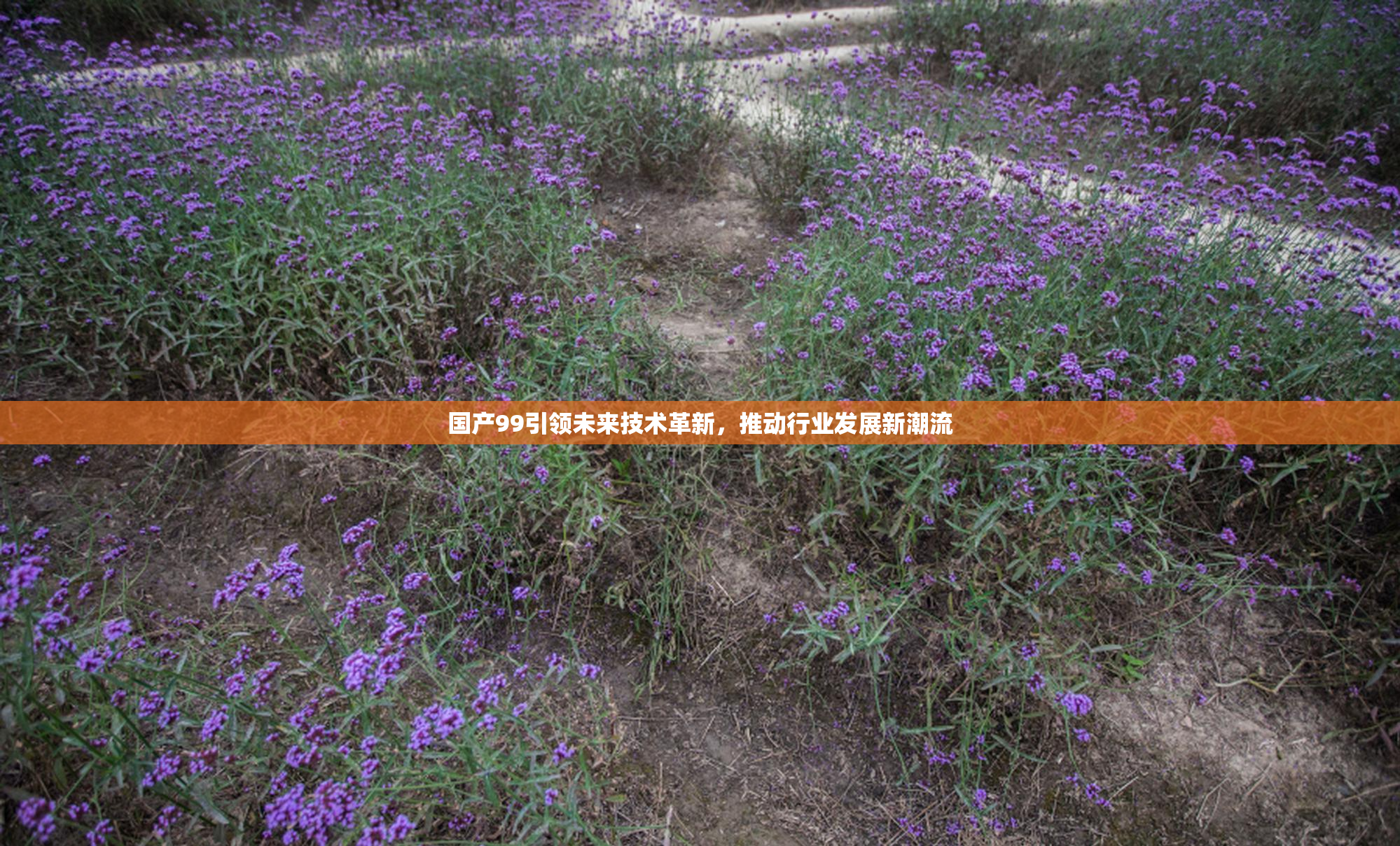 国产99引领未来技术革新，推动行业发展新潮流
