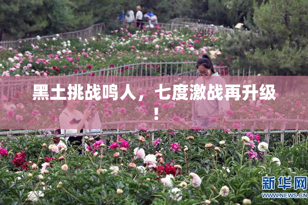黑土挑战鸣人，七度激战再升级！
