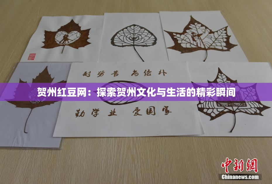 贺州红豆网：探索贺州文化与生活的精彩瞬间