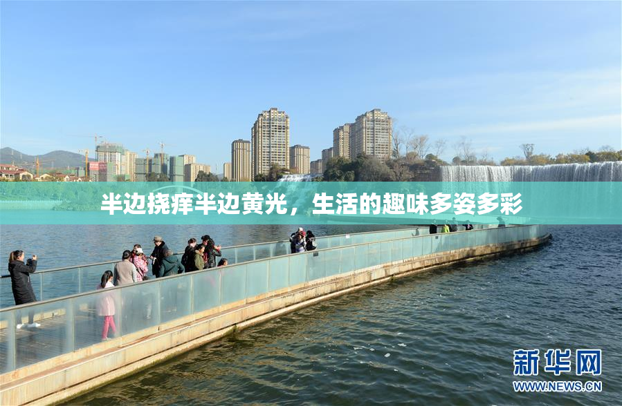 半边挠痒半边黄光，生活的趣味多姿多彩