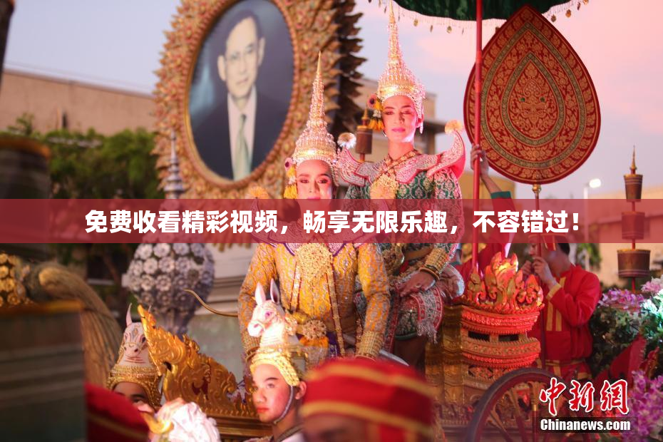 免费收看精彩视频，畅享无限乐趣，不容错过！