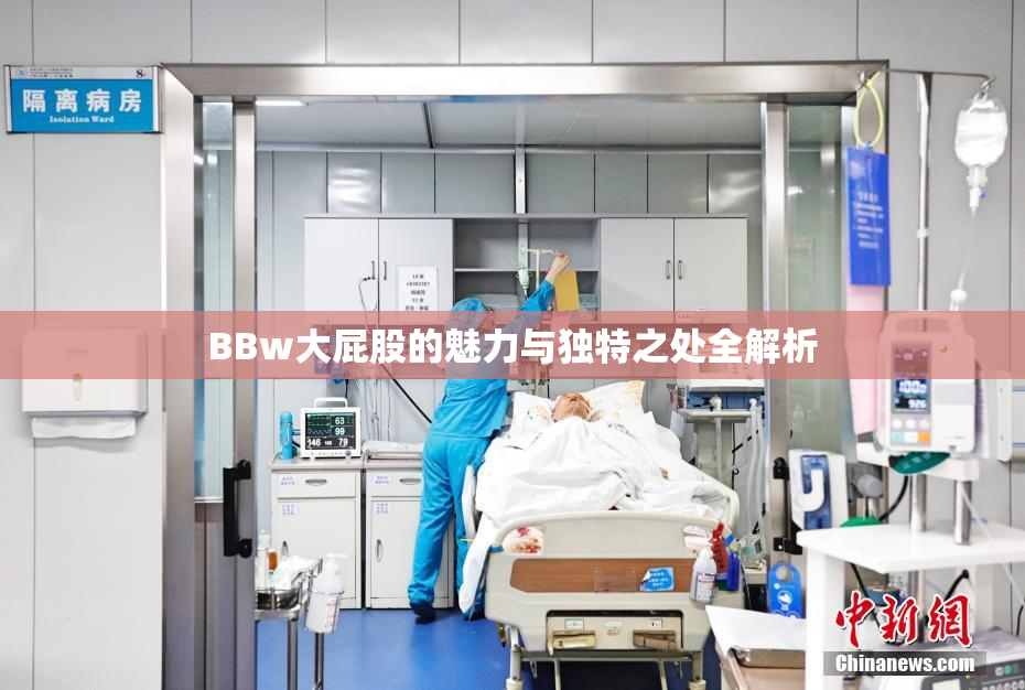 BBw大屁股的魅力与独特之处全解析