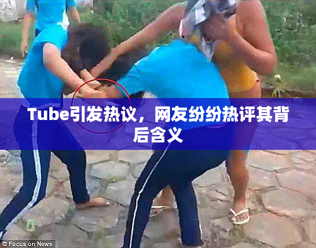 Tube引发热议，网友纷纷热评其背后含义