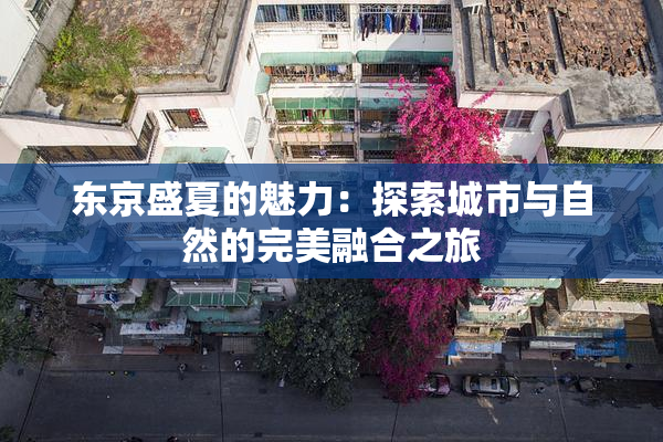 东京盛夏的魅力：探索城市与自然的完美融合之旅