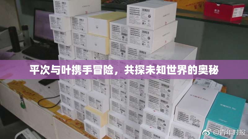 平次与叶携手冒险，共探未知世界的奥秘