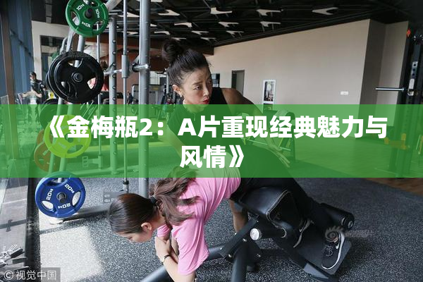 《金梅瓶2：A片重现经典魅力与风情》