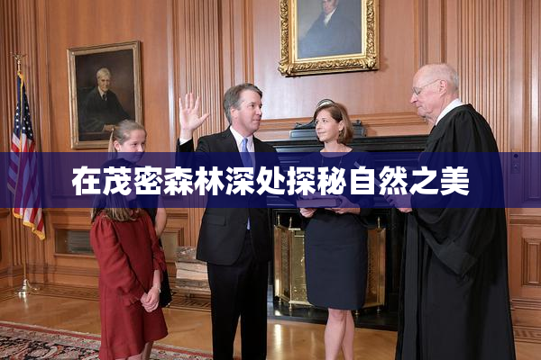 在茂密森林深处探秘自然之美