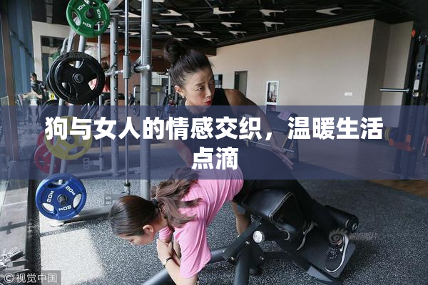 狗与女人的情感交织，温暖生活点滴