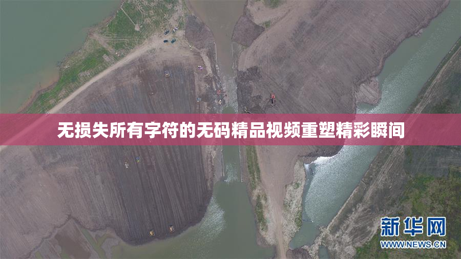 无损失所有字符的无码精品视频重塑精彩瞬间