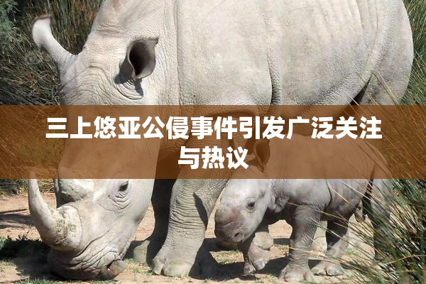 三上悠亚公侵事件引发广泛关注与热议
